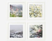 Wall decor Sale - Nature Photography Print Set of  4 print collection,  5x5, Fine Art Prints, cottage chic wall art, spring decor, pastel