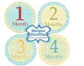 Monthly Onesie Stickers Print at Home Pink Baby Girl Boy Baby Shower New Baby Printable Digital