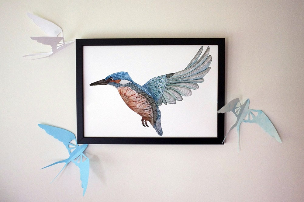 Kingfisher Pen and Ink Drawing Giclee Limited Edition A3 Bird Print