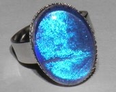 Real Blue Morpho Butterfly Wing Oval Glass Adjustable Silver Plated Ring