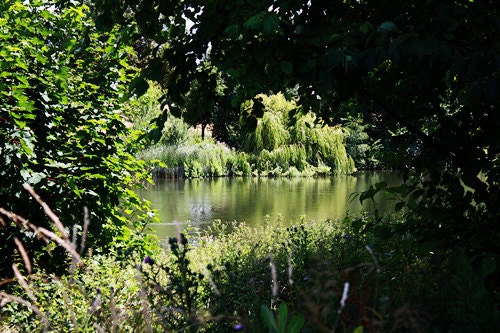 Nature Photography 8x10 Fine Art Print - Garden Lake Photograph, Greenery Photo, Nature Photographs, Relaxing Green Decor