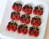 Valentine's Day Lady bug chocolate covered pretzels red dot -2 dozen in box love bugs