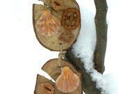 Rustic Wooden Home Decor sea shell and nuts- wall hanging- handmade Ornaments- shabby chic eco friendly- wooden circle ring - Driftwood