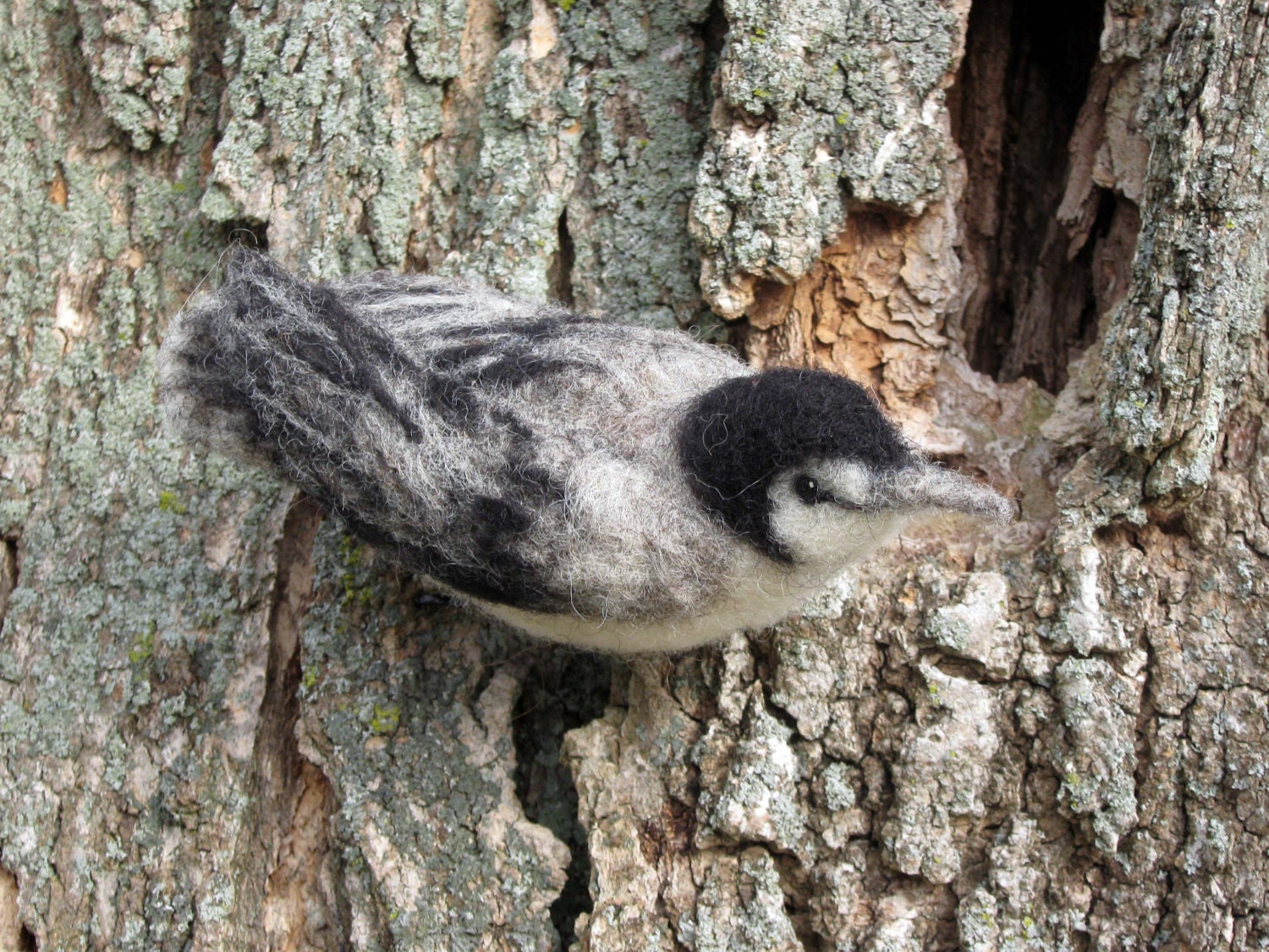 White-breasted Nuthatch - Needle felted bird - Flightofheart