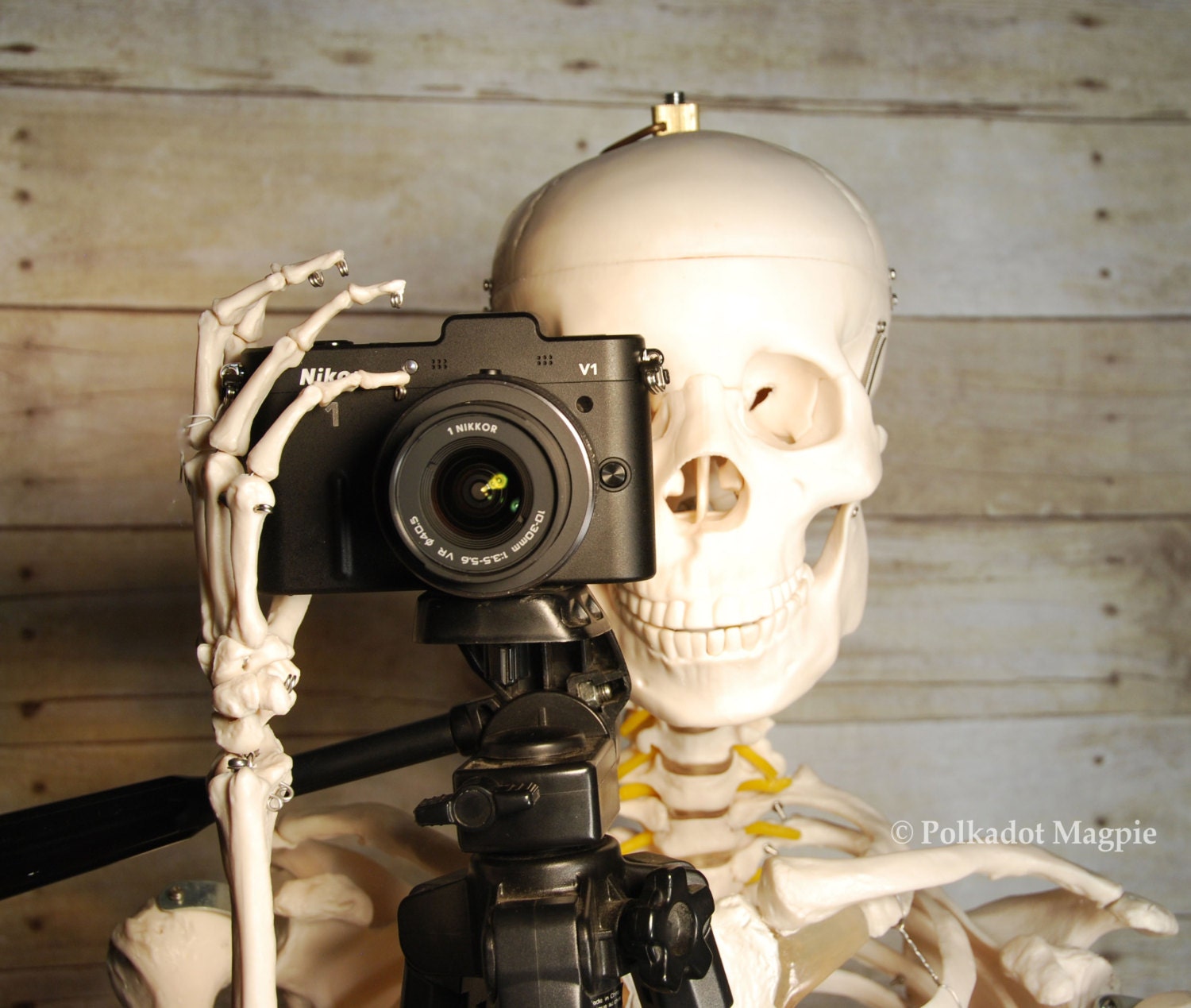 Men, Dude,Skeleton Photo,Camera, Fine Art Photography - SamieSam