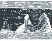 Dave, 3 Color Linocut Relief Print, Sheep, Hand Pulled Fine Art, Limited Edition, Printmaking Original