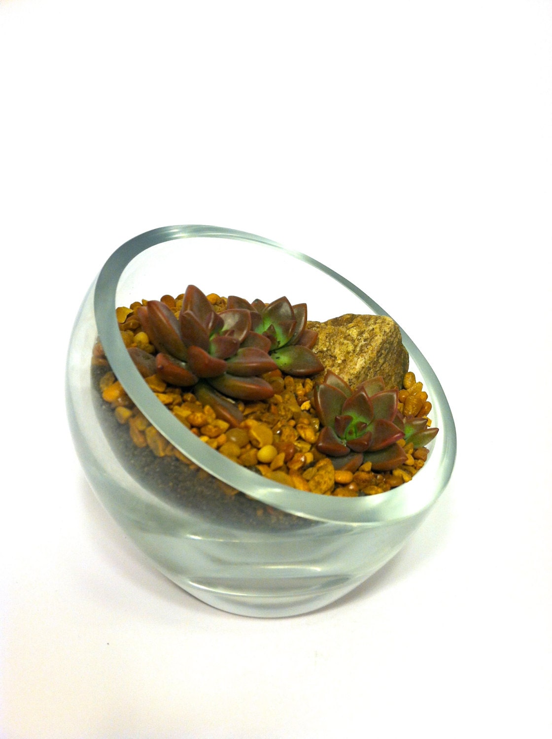 Dessert Cliff Succulent Terrarium
