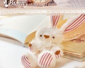 Miniature bunny plush toy.