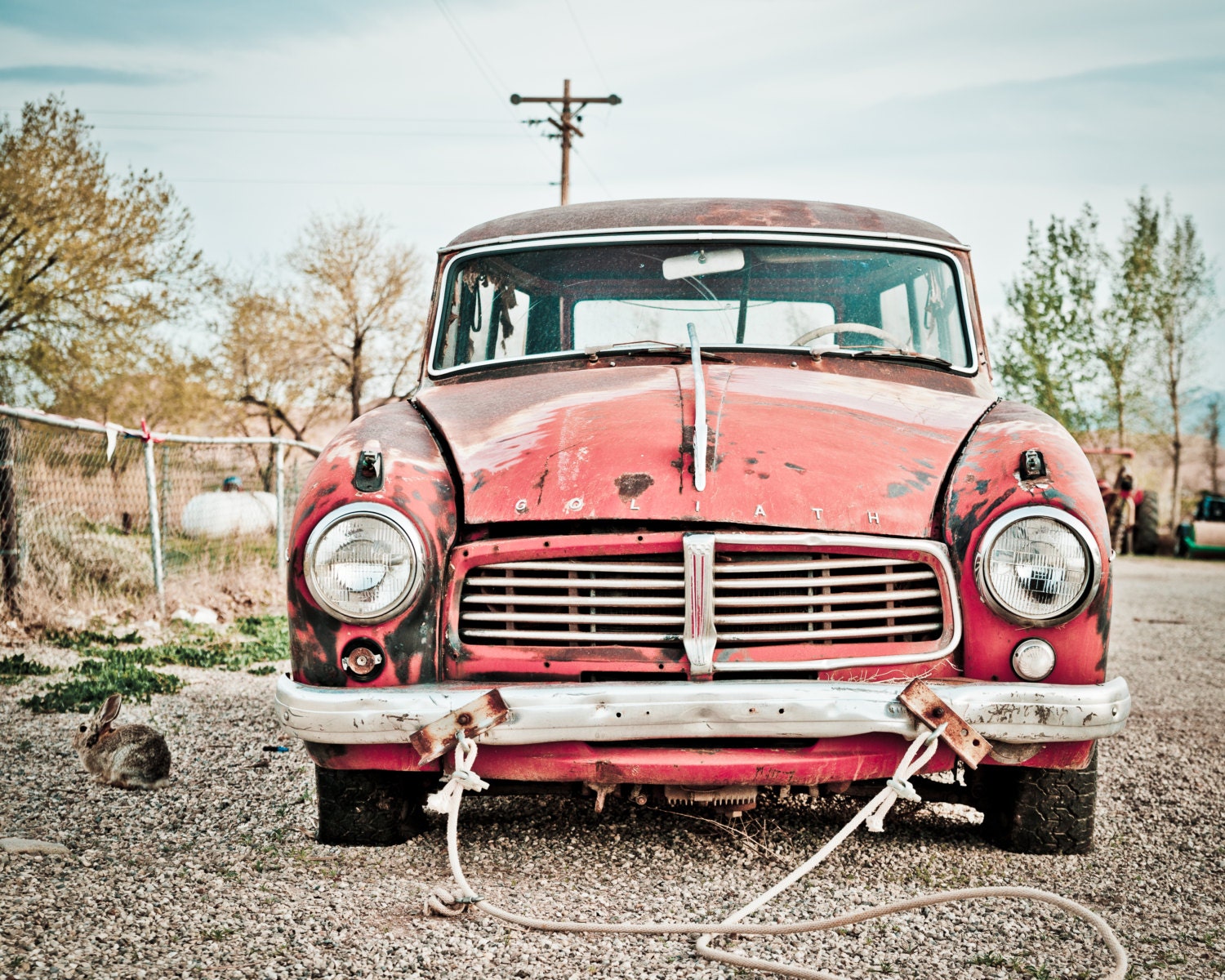 Bunny & Goliath - 1.5 in Thick Gallery Wrap Canvas Large 16x20 - Surreal Color Photography on Museum Quality Canvas - Vintage Car and Bunny