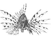 Lion fish-ink drawing-giclee-fish-tropical fish-black and white print