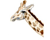 Archivaal print of watercolor painting of a giraffe. Animal painting. Reproduction of Giraf Zen drawing by Michelle Dujardin