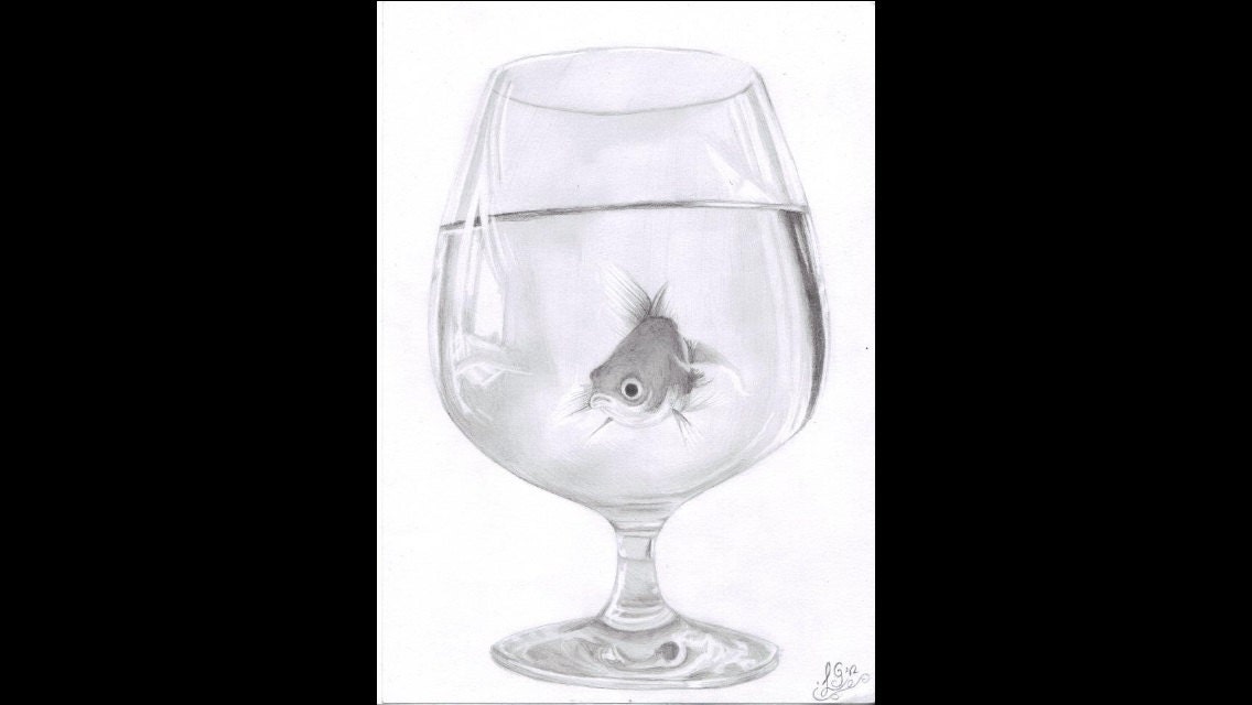 A4 black and grey pencil drawing print gold fish in a glass
