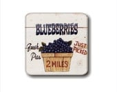 Fresh Blueberries Coaster Set