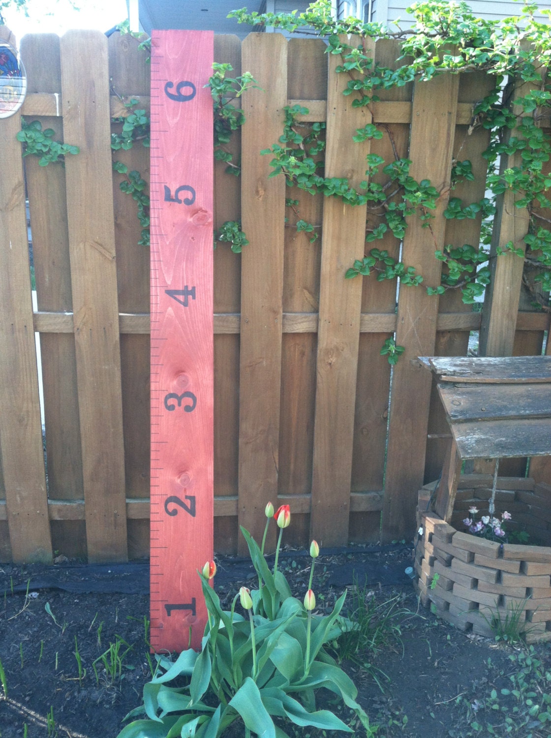 SPECIAL ORDER add on -  Vintage Wood Ruler Growth Chart or Family Namesake - A Pottery Barn reCreation