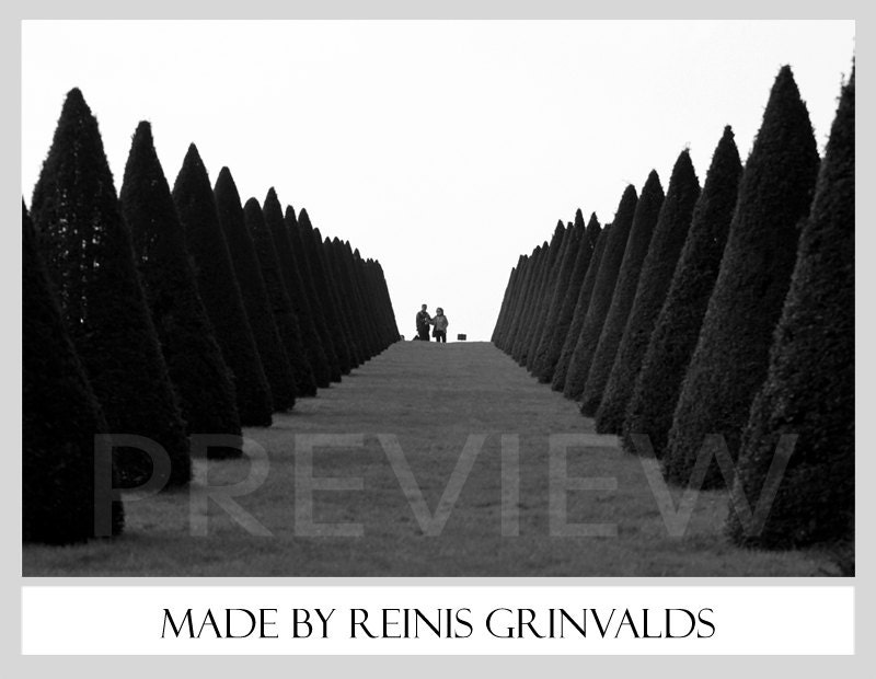 Palace of Versailles garden, details,  Fine Art Print, Digital photography (4x6)