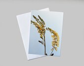 8 Miniature Note Cards-Paper Goods-Blank stationery-Scotch broom yellow spring summer flower gift tag art card