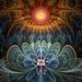 Lotus Rising