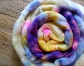 sprinkles - hand painted dyed colorscape merino wool roving extra fine - 3 ounces