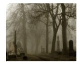 Foggy, Graveyard Road, Dark, Misty, Creepy, Night Fog - The Road
