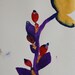 ngorongoro flower //two
