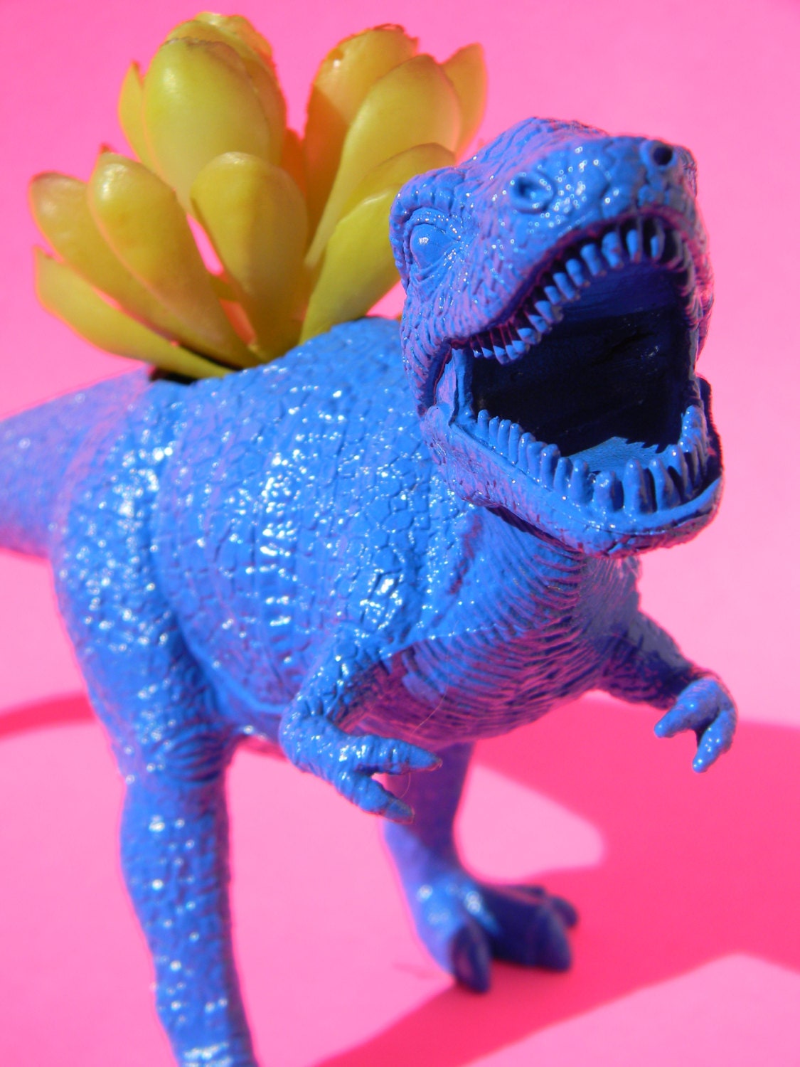 Blue TREX dinosaur planter Ready to Plant and Display at Work or Home Great