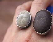 From Coast to Coast Ring