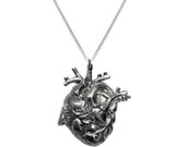 Anatomical Heart Necklace