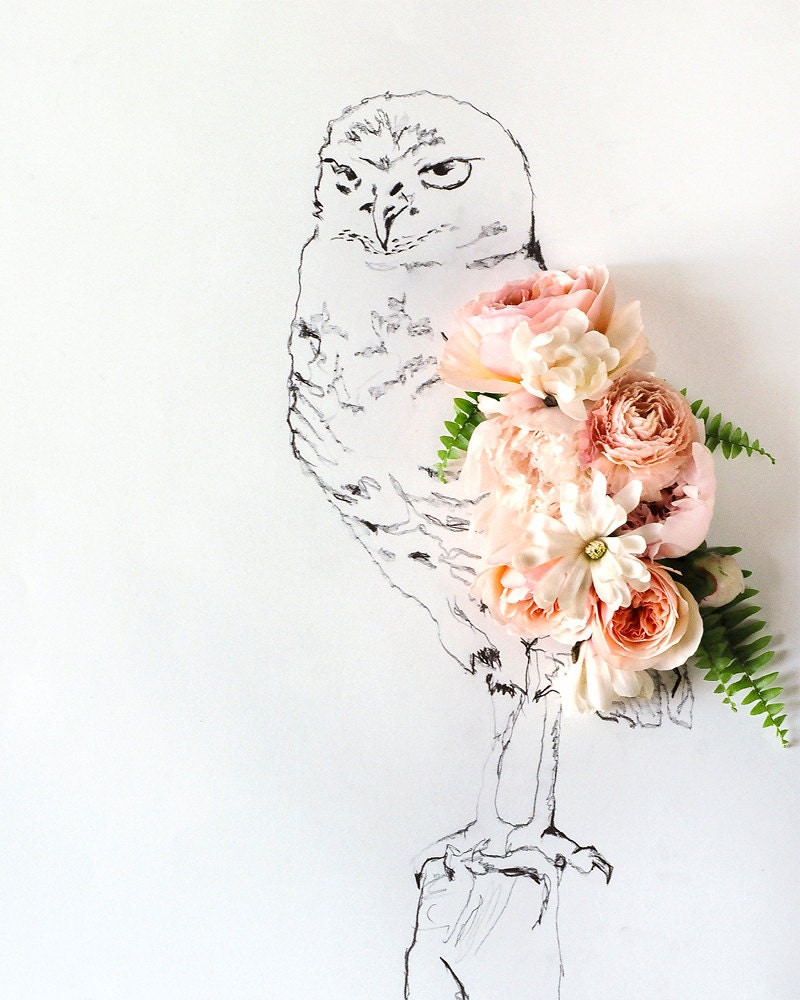 Owl and Flower Photograph No. 88236