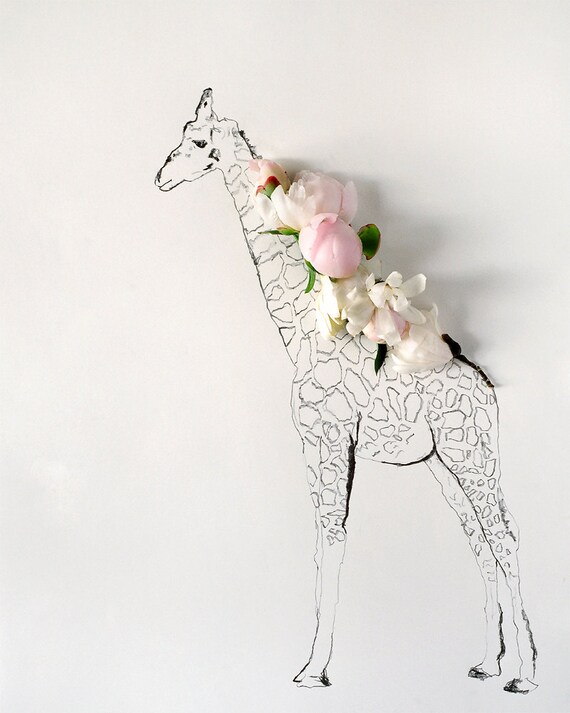 Giraffe and Flower Photograph No. 88238