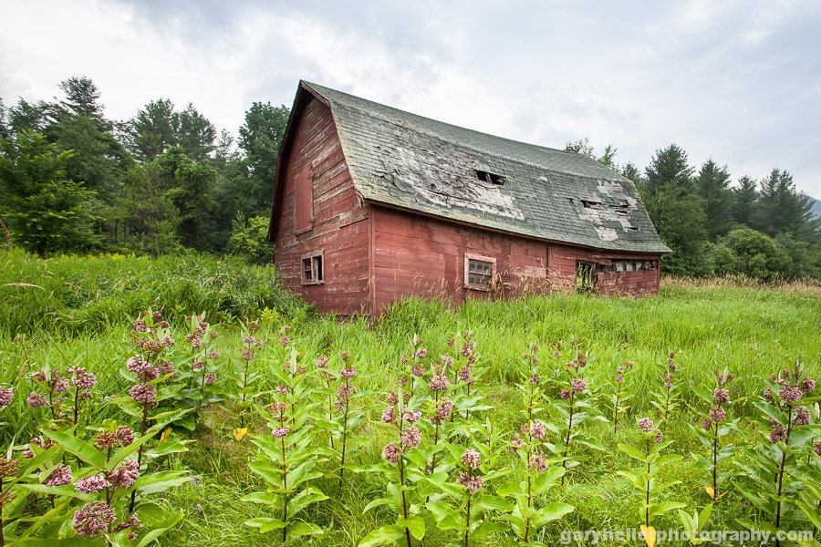 Old Barn Flowery Field, Red Barn Photo, Rustic Landscape, Color Photograph, Original Signed Print, Farms