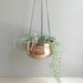 simple vintage hanging planter