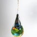 Rain Drop Hanging Terrarium