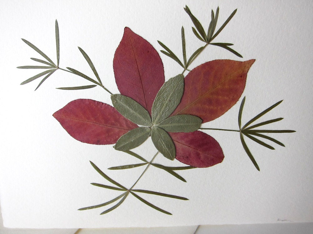 Pressed Flower Card Burgundy leaves Blank Greeting Card