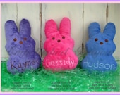 SET of THREE Personalized Stuffed Bunny Toys Soft and Plush for Baby or Easter Basket