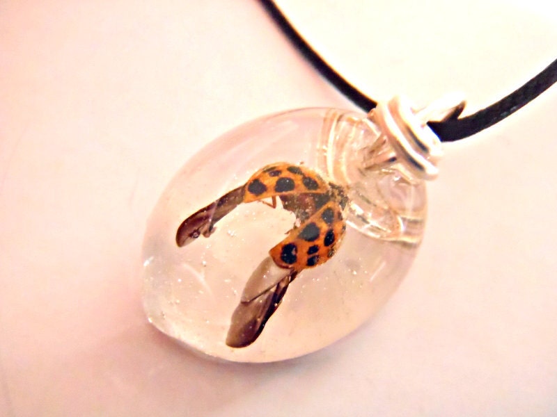 Real Ladybug Resin Pendant Nature Necklace Bohemian Jewelry Wings Silver Wire Insects Bugs Earth Forest Woodland Lucky Small Oval