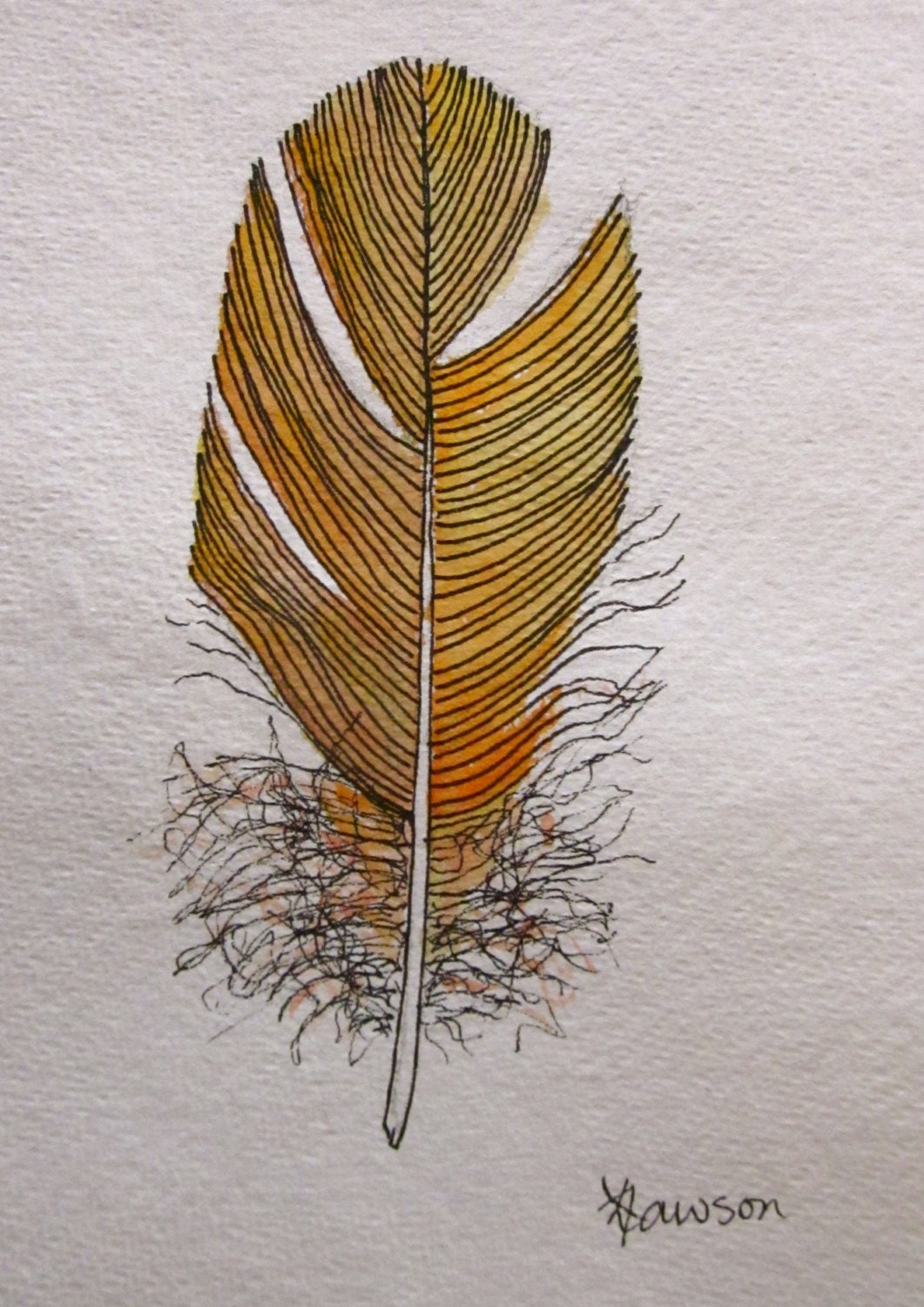 Golden feather -- original ink drawing