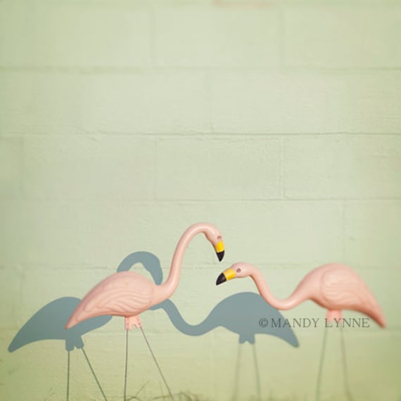 Happy together  - flamingo print