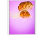 Chicago 6 (Pink Jellyfish) // 8x10 Fine Art Giclée Print // Photography