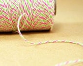 BRAND NEW- Watermelon Divine Twine- 50 yards- Limited Edition Watermelon Divine Twine-Great for Spring decorating, crafting -1.99 shipping