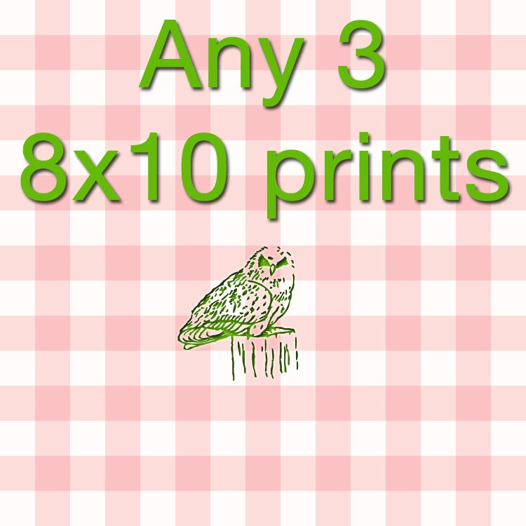 any three 8x10 prints fine art photography nursery art coastal art nursery decor fine art prints nature prints