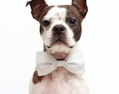 White and Grey Herringbone Dog Bow Tie - Wedding Accessories For Dogs - Gender Neutral