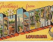 New Orleans Large Letter Greetings from Louisiana Curt Teich Gloss Finish Postcard 1950's Vintage Souvenir
