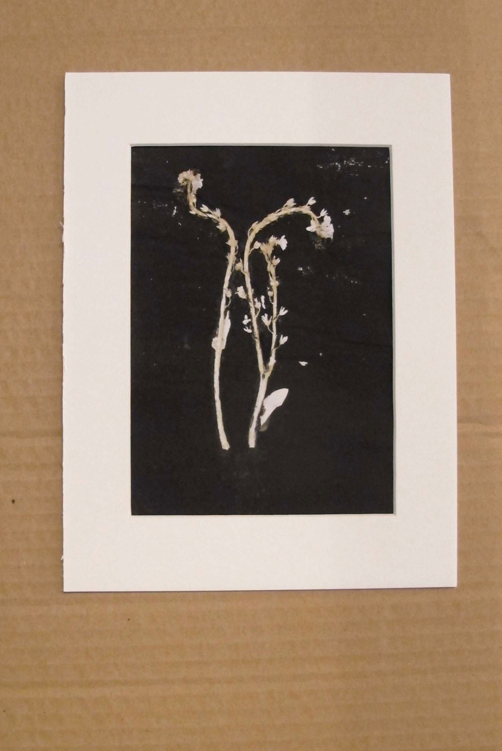 Small original  ooak botanical monoprint bold modern organic and minimal on Japanese paper forget me not - fieldandhedgerow