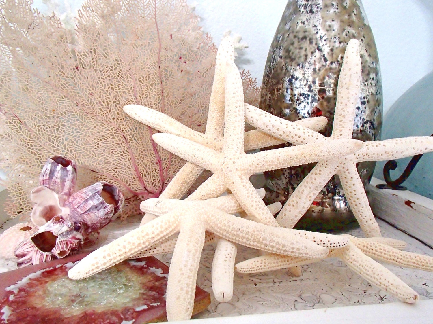 Beach Decor, Beach Wedding, Shell Decor - Large White Finger Starfish 5"-7", Set of 12