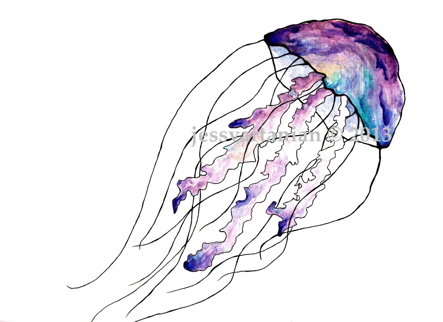 Jellyfish Watercolor Illustration Print