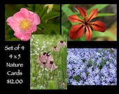 Nature Photo Greeting Card Set - Buy Four and Save - press printed wildflower cards, linen texture, blank inside, 4 x 5