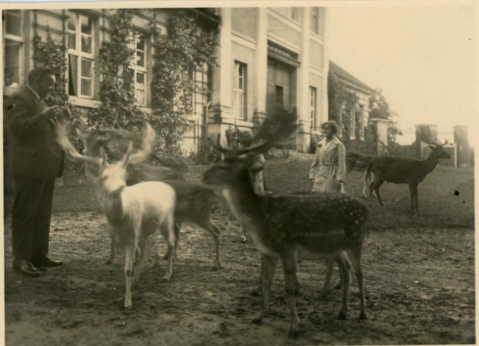 Vintage Photo "Front Lawn Guests", Photography, Paper Ephemera, Snapshot, Old Photo, Collectibles - 0037