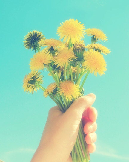 Dandelion Photography, Nursery Decor, Yellow Flowers, Aqua Wall Art, Yellow Dandelions, Friendship Flowers, Spring, Retro, 8x10 Print