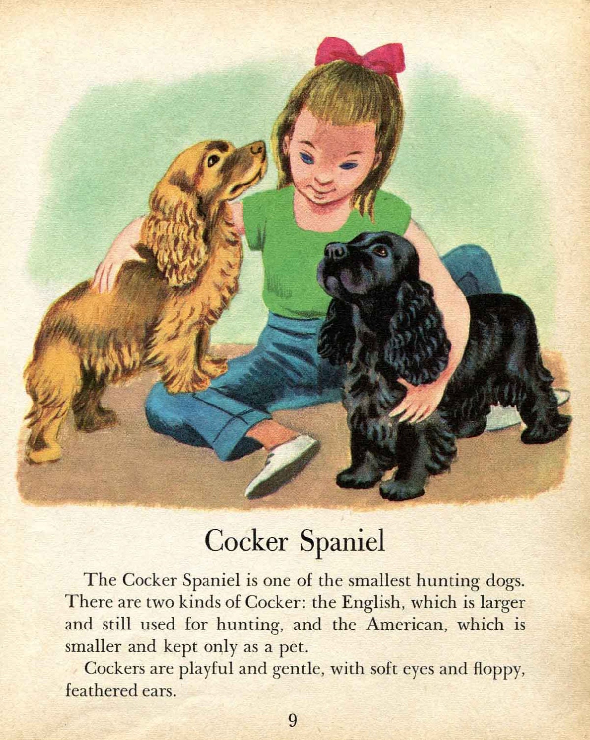 Cocker Spaniel Dog Illustrations by Tibor Gergely