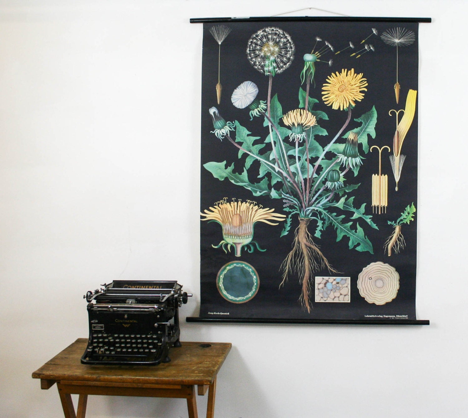 Vintage Pull Down Chart, Dandelion Genuine Vintage School Chart